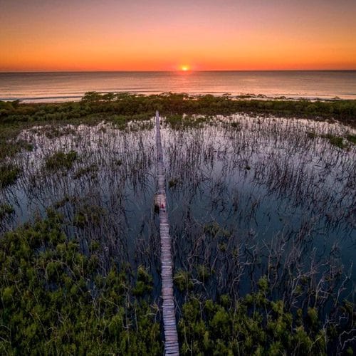 Puente de madera de Playa Avellana